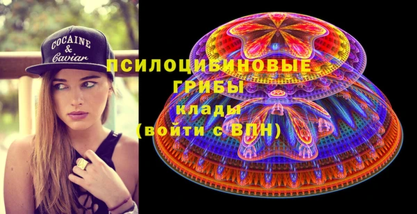 не бодяженный Новозыбков