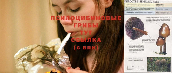 не бодяженный Новозыбков