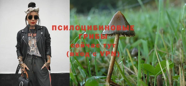 герыч Нязепетровск