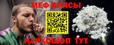индика Камышлов