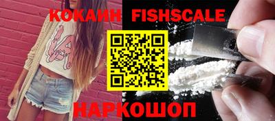 индика Камышлов