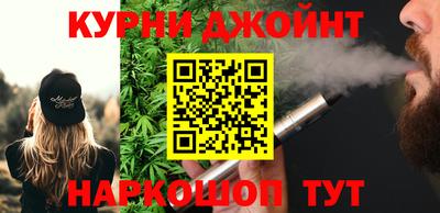индика Камышлов