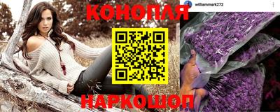 стафф Кандалакша