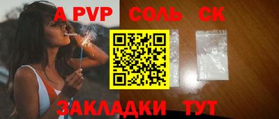 индика Камышлов