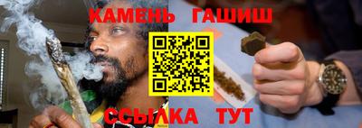 индика Камышлов