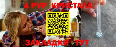 индика Камышлов