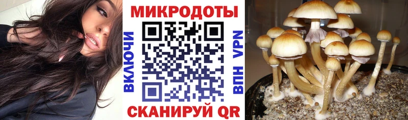 Псилоцибиновые грибы мицелий  Челябинск 
