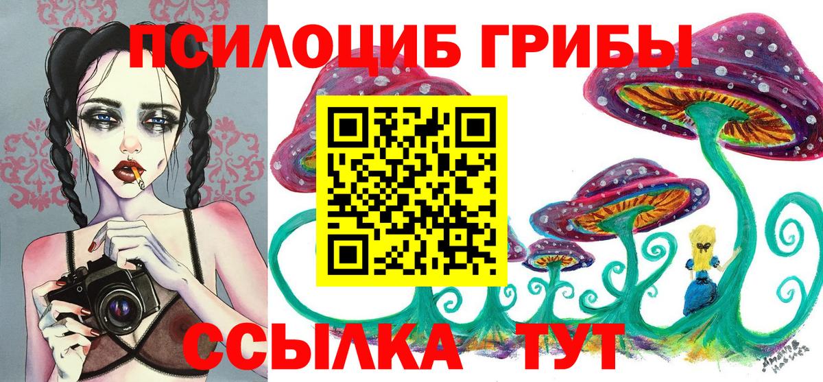 Галлюциногенные грибы GOLDEN TEACHER Челябинск