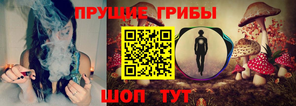 Галлюциногенные грибы Cubensis  Псилоцибиновые грибы прущие грибы  Челябинск  Вход с VPN 
