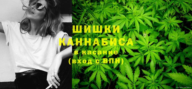 мега ссылки  Челябинск  Бошки марихуана Amnesia  закладка 